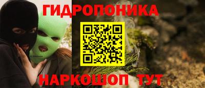 прущие грибы Конаково