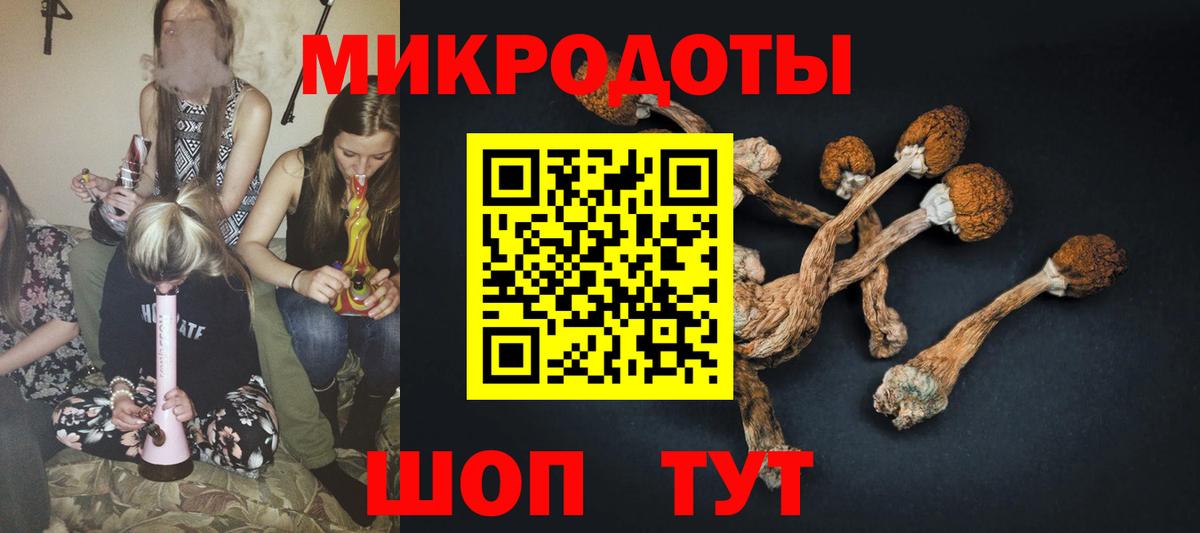 Галлюциногенные грибы Magic Shrooms  Галлюциногенные грибы GOLDEN TEACHER  купить наркоту  Донецк  Вход с VPN 
